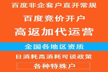 专业SEM托管：成功提升广告效果的案例分析